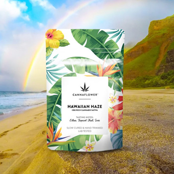 20% Off Hawaiian Haze - Cannaflower Promo Code