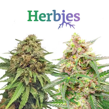 Valentine's Day Freebies - Herbies Seeds Promo Code