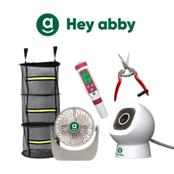 30% Off Growing Accessories - Hey Abby Discount Code