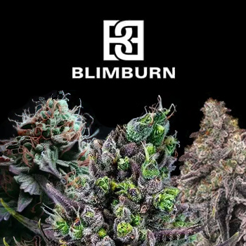 Elite Strains - BOGOF - Blimburn Seeds Coupon Code