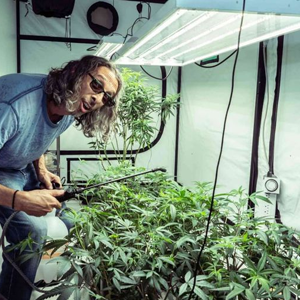 10% Off Home Growing Kits - The Bud Grower Coupon Code