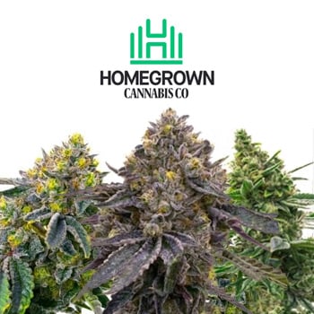 40% Off High Yielding Strains - Homegrown Cannabis Co Promo Code