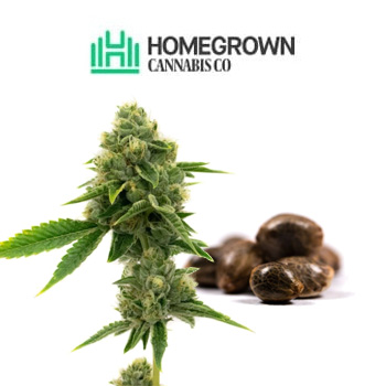 FREE Northern Lights Autos - Homegrown Cannabis Co Coupon Code