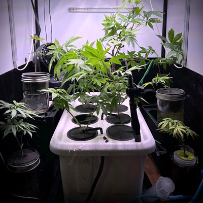 30% Off Hydroponic Systems at Gorilla Grow Tent - Coupon Code