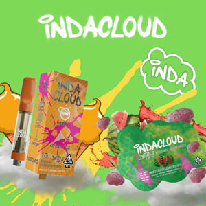 20% Off Any Order - Indacloud Promo Code