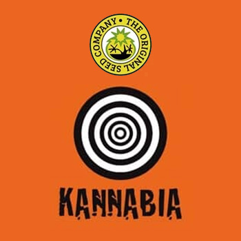 Kannabia Seeds BONUS - Original Seeds Store Discount Code