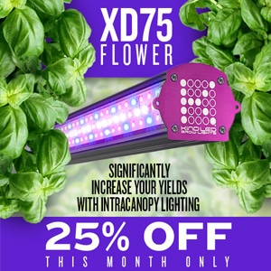 25% Off X-Series XD75 Bar Lights  - Kind LED Grow Lights Coupon Code
