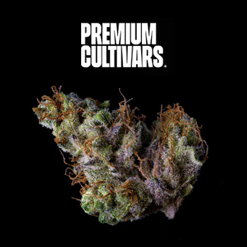 LCG Flower - BOGOF - Premium Cultivars Coupon Code