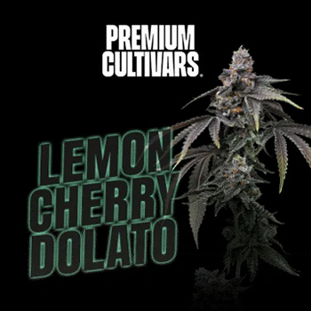 FREE Lemon Cherry Dolato - Premium Cultivars Promo Code