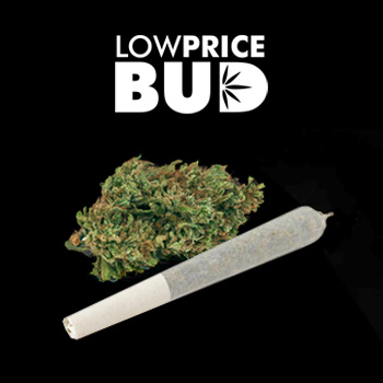 FREE Joint & Mystery Gram - Low Price Bud Promo Code