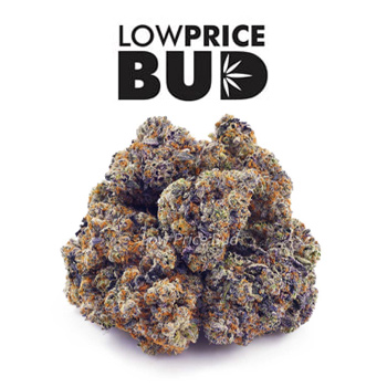 30% Off Craft Cannabis - Low Price Bud Promo Code