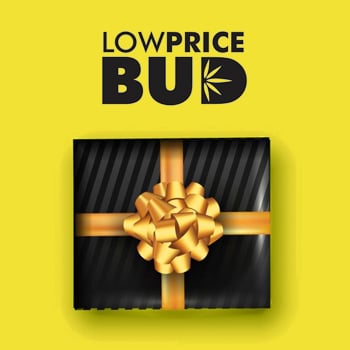 FREE Gifts - Low Price Bud Coupon Code