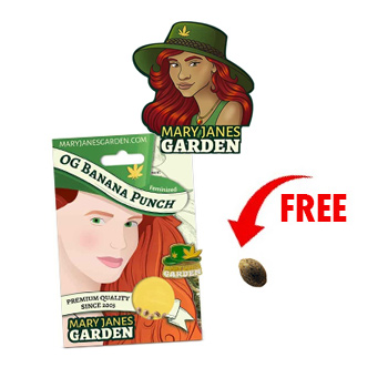 1 FREE Seed w/ 5-Packs - Mary Jane's Garden Discount Code