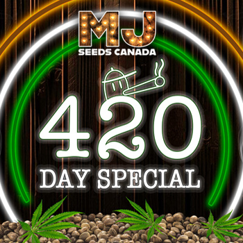 420 Special - Buy 1 Get 1 FREE - MJ Seeds Canada Coupon Code
