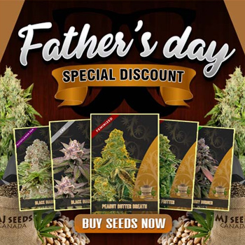 Father's Day Sale - 20% Off - MJ Seeds Canada Discount Code