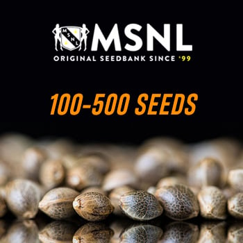 Extra 25% Off Bulk Seeds - MSNL Coupon Code