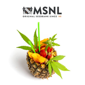 30% Off Fruity Strains - MSNL Discount Code