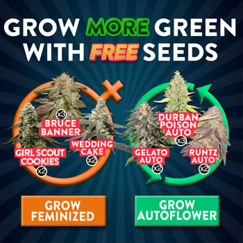 Choose 7 FREE Seeds - MSNL Discount Code