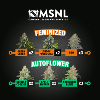 Choose 7 FREE Seeds - MSNL Promo Code