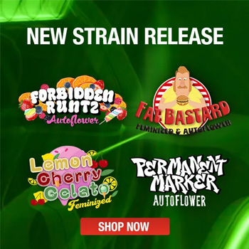 10% Off Brand NEW Strains - MSNL Coupon Code