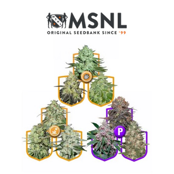 33% Off NEW Value Packs - MSNL Discount Code
