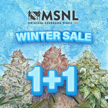 Winter Sale - BOGOF - MSNL Discount Code