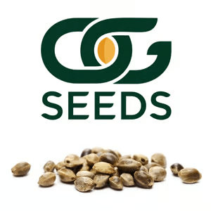 FREE Seeds with Any Order - OG Seeds Coupon Code