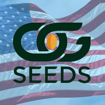 July 4th Sale - 35% Off - OG Seeds Coupon Code