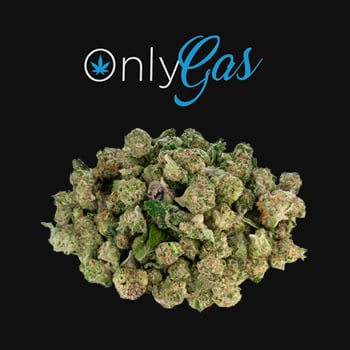 33% Off THCa Indoor Micros - OnlyGas Coupon Code