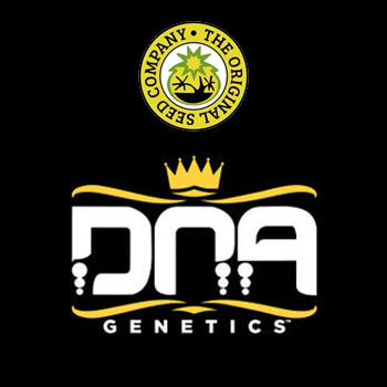 DNA Genetics BONUS - Original Seeds Store Promo Code