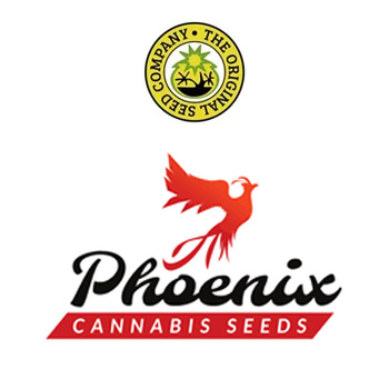 Phoenix Seeds BONUS - Original Seeds Store Discount Code