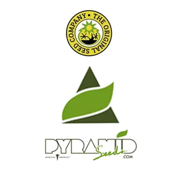 Pyramid Seeds BONUS - Original Seeds Store Coupon Code