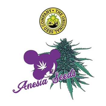 [DISC] Off Anesia Seeds - Original Seeds Store Coupon Code
