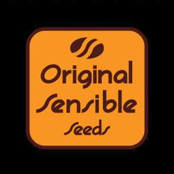 Black Day Deals - 50% Off at Original Sensible Seeds - Coupon Code