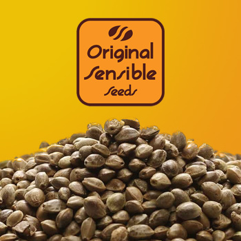 30% Off Bulk USA Strains - Original Sensible Seeds Coupon Code