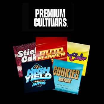 50% Off Mix Packs - Premium Cultivars Discount Code