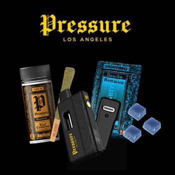50% Off Entire Range - Pressure LA Promo Code