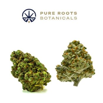Buy 1 Get 1 FREE - Pure Roots Botanicals Discount Code