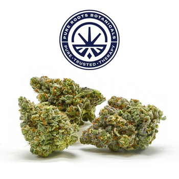 15% Off Your First Order - Pure Roots Botanicals Promo Code