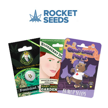 Black Friday - BOGOF - Rocket Seeds Promo Code