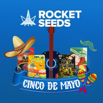 Cinco De Mayo Sale - 20% Off - Rocket Seeds Promo Code