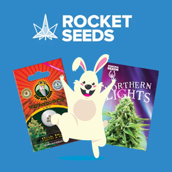 Easter Sale - 15% Off - Rocket Seeds Discount Code