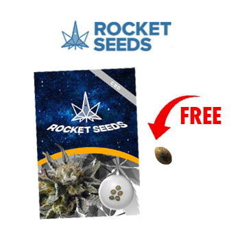 1 FREE Seed w/ 5-Packs - Rocket Seeds Promo Code