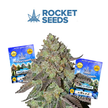 End Of Summer Sale - BOGOF - Rocket Seeds Coupon Code