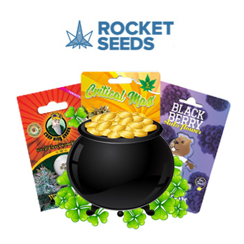 15% Off Sitewide - Rocket Seeds Discount Code