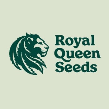 Royal Queen Seeds - Buy 1 Get 1 FREE - Seed City Discount Code