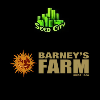 Barney's Farm BONUS  - Seed City Discount Code
