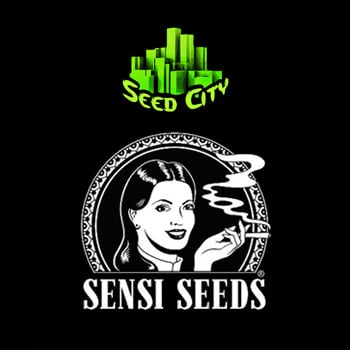 Sensi Seeds BONUS - Seed City Discount Code