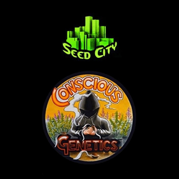 Conscious Genetics BONUS - Seed City Discount Code