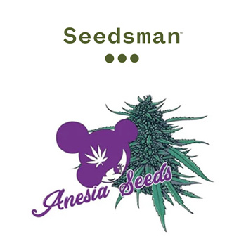 [DISC] Off Anesia Seeds - Seedsman Coupon Code